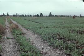 Becker Properties Ltd. residential development land for sale near Invermere