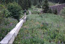 Flume and flowers at Rocher Deboule Range