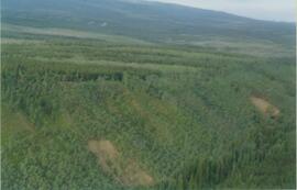 Aerial views (E 15 Mile to Rock Ck) - 19