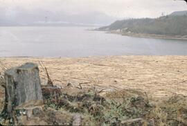 Debris in Williston Lake reservoir