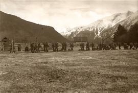 Soldiers with packs walking through a rancher's field