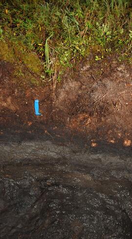 BC12-14 soil profile view 2