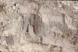 Granite bedrock at Nimpkish Valley