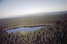 Aerial photograph of Aleza Lake Research Forest