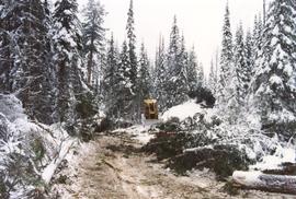 D-4 tracked skidder on B Road at Summit Lake Selection Trial