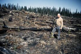 Harry Coates with white spruce seedlings planted spring 1991 in SBSwk1 subzone