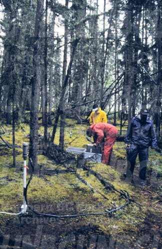 Original Digital object not accessible