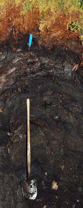 BC12-09 soil profile (cropped)