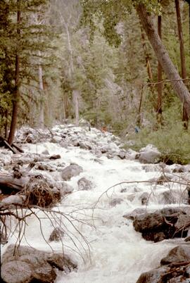 Ponderosa Creek in Stein Valley