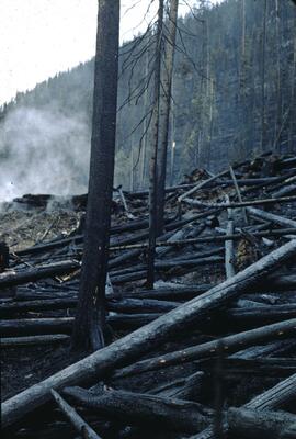 Slash burning at White River