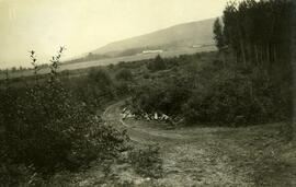 View along the Nechako River, looking southwest