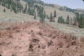 Jim and trees with red mud near Kamloops