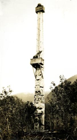 Wide Base pole at Ank'idaa