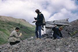 Workers on old mine tailings in Hunter Basin, Telkwa Range