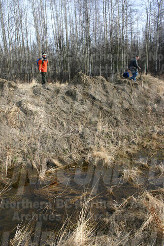 Original Digital object not accessible