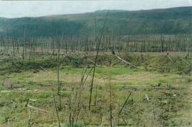 Burn N of Fox L - 02