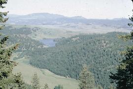 Lake, rangeland and douglas fir near Kamloops