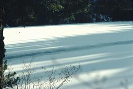 Pressure break in Petgill Lake ice