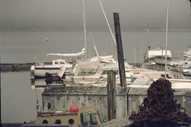 Boats at marina in Prince Rupert