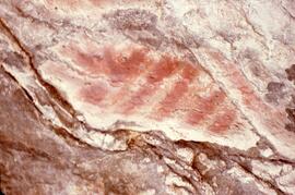 Fish pictograph on rock at Stein Valley Nlaka'pamux Heritage Park