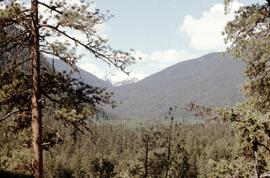 Stein Valley