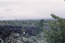 Tseax lava flows near Terrace
