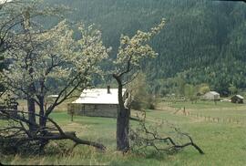 Farmstead in the Slocan Valley
