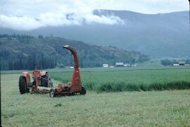 Forage harvesting of alfalfa in Enderby