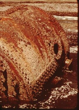 Remnanants of the Michigan steamship wreckage