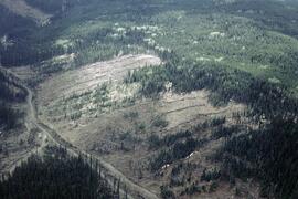 Clearcutting and windrows at Barriere