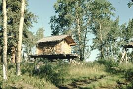 Trappers cabin and equipment near Iskut
