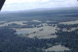Aerial view of grassland to forest transition near Lac La Hache