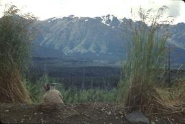 Dan Blower using a spotting scope at Kinaskan