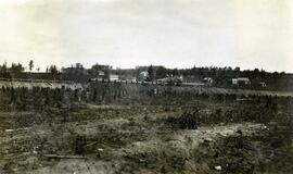 Looking northeast from the corner of Alexandria St. and Railroad Ave., Fort Fraser