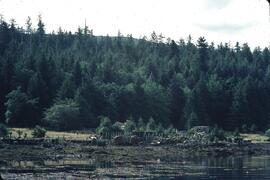 Old buildings at Rose Harbour Whaling Station in the Queen Charlotte Islands