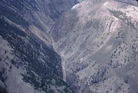 Bighorn sheep range at Churn Creek