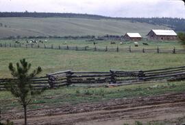 Cariboo ranch at Dog Creek