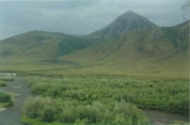 Blackstone R, km 116 Dempster Hwy - 03