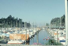 Marina in Vancouver