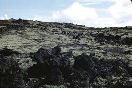Volcanic flow material at Mount Edziza Provincial Park