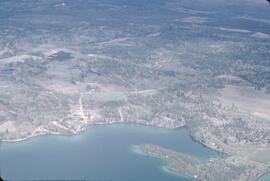 Aerial view of forest and lake