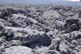 Tseax lava flows near Terrace