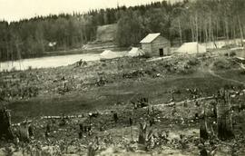 Logging operations south of Fort Fraser