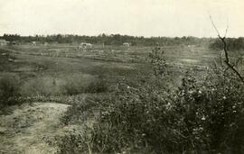 Farm scene near Fort Fraser