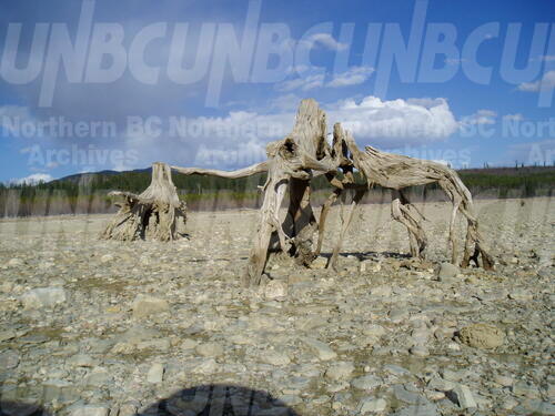 Original Digital object not accessible