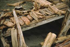 Driftwood shelter at Tsusiat Falls on the West Coast Trail