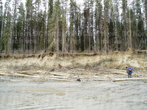 Original Digital object not accessible