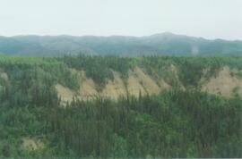 15 Mile R site aerial view - 04