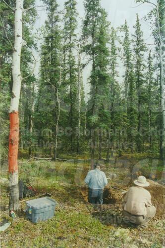 Original Digital object not accessible