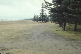 Stabilized dunes near Tlell River